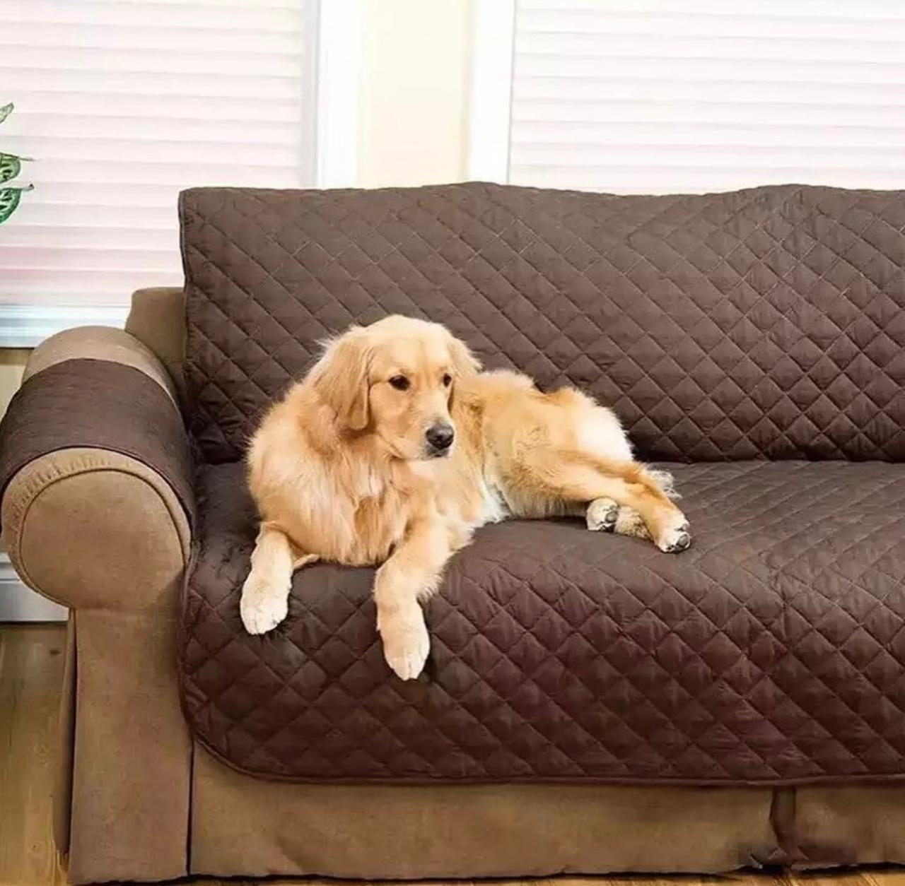 Miniatura 3 de Forro Protector Sofa Muebles 2 Puestos